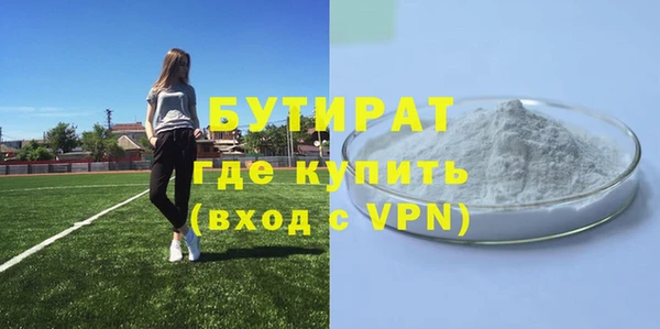 индика Нязепетровск