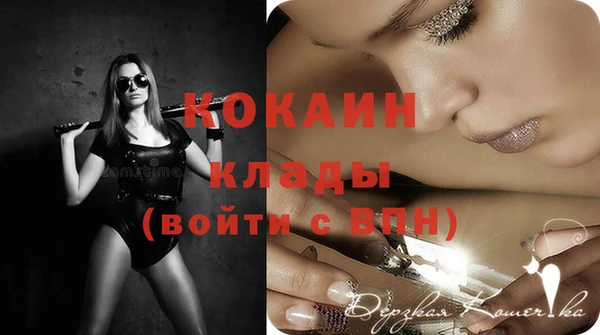 МДПВ Новозыбков