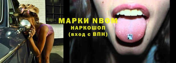 гашик Новокубанск