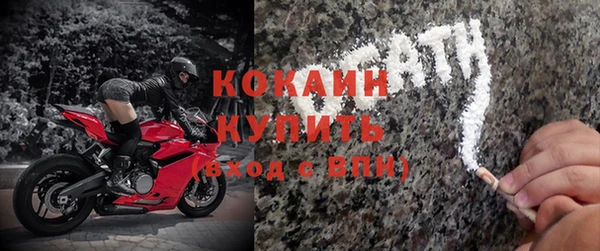 индика Нязепетровск