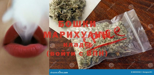 шишки Нягань