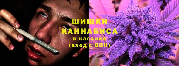 тгк Нефтекумск