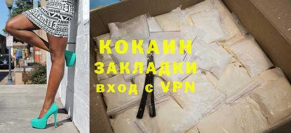 индика Нязепетровск