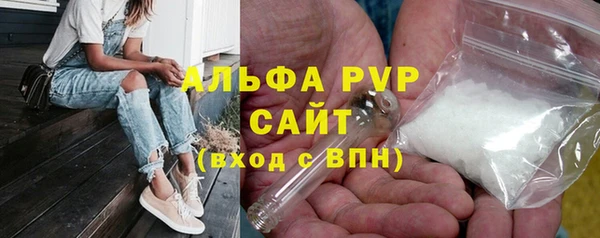 индика Нязепетровск