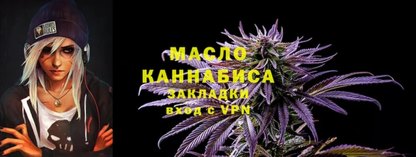 индика Нязепетровск
